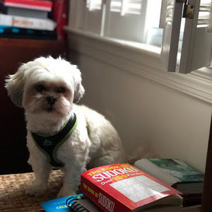 Meet your Posher, Abolade